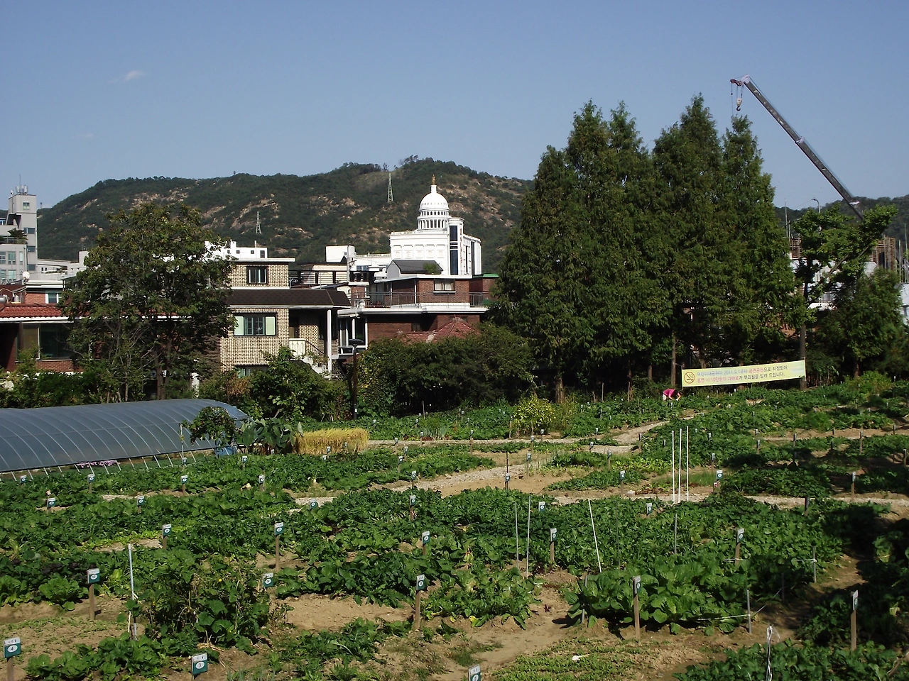 [#3] 장소_어린이 텃밭 체험장 (1-2).JPG