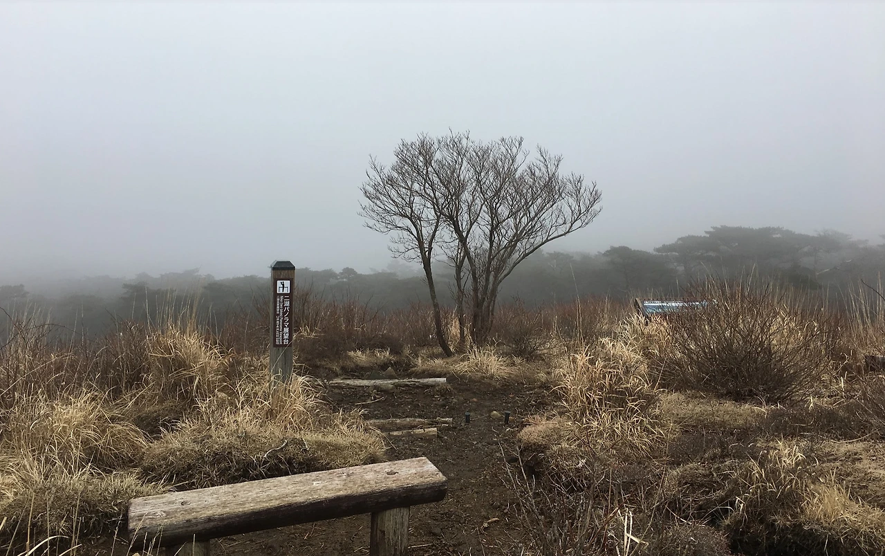 안개로 덮힌 고원트레일 길 - 복사본.PNG