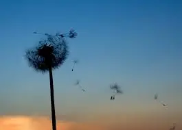 images?q=tbn:ANd9GcSHBydddMzc1hGMGJovcukR9c4_-MHSLGnO9keNVRs4CHQXCoGSJg