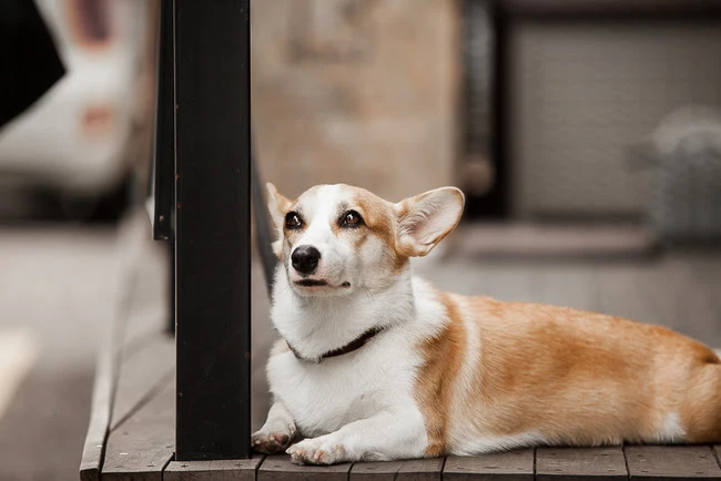 IMG_8660.JPG?type=w773