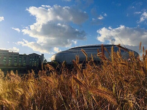 IMG_7487.jpg?type=w773