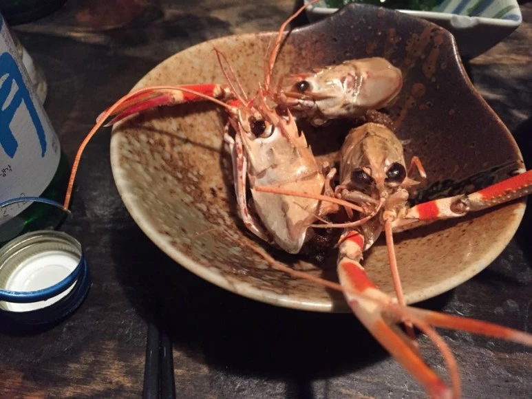 IMG_6475.jpg?type=w773