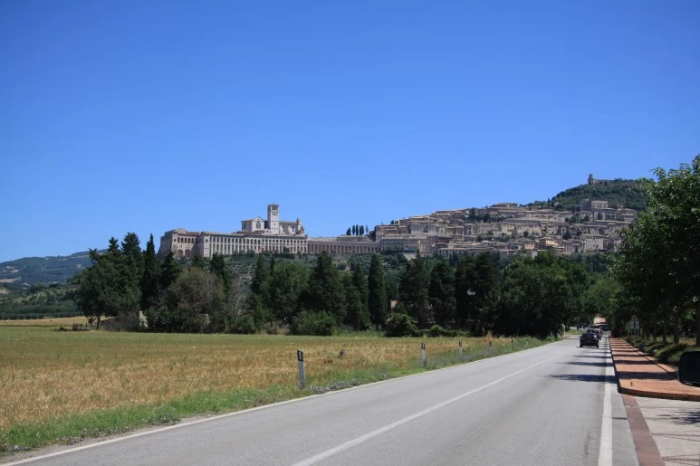 IMG_2455.JPG?type=w773