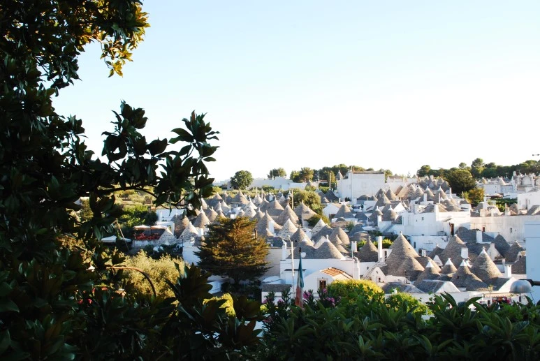 DSC_0822.JPG?type=w773