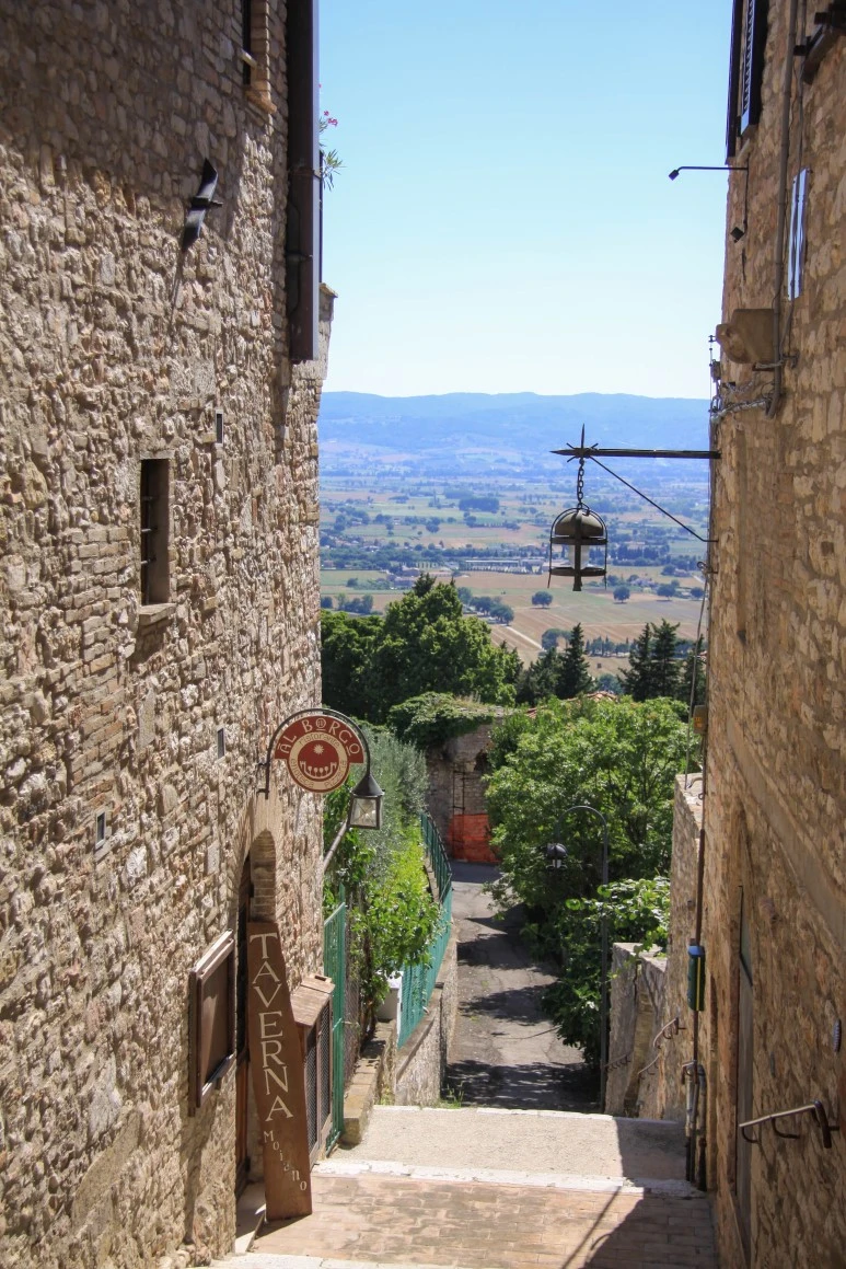 IMG_2573-1.jpg?type=w773