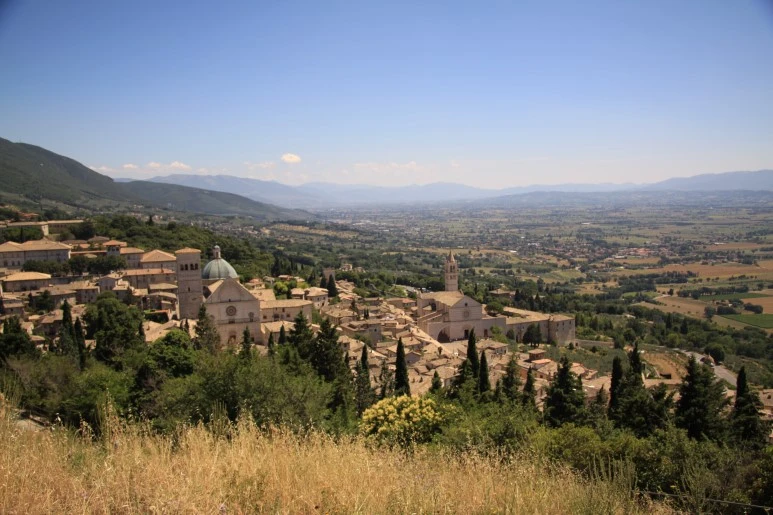 IMG_2513.JPG?type=w773