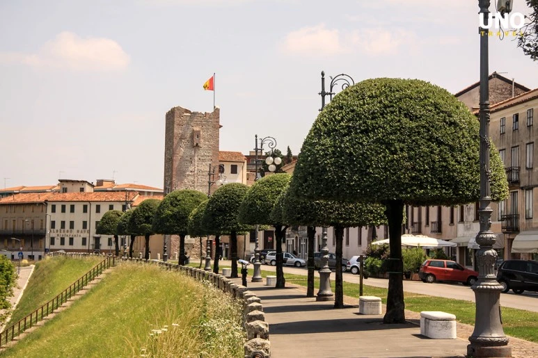 %EB%A7%88%EB%A5%B4%ED%8B%B0%EB%A6%AC2.jpg?type=w773