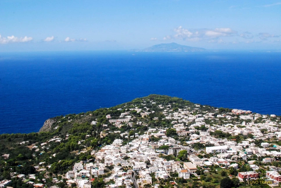 image_3150299851490161877646.jpg?type=w966