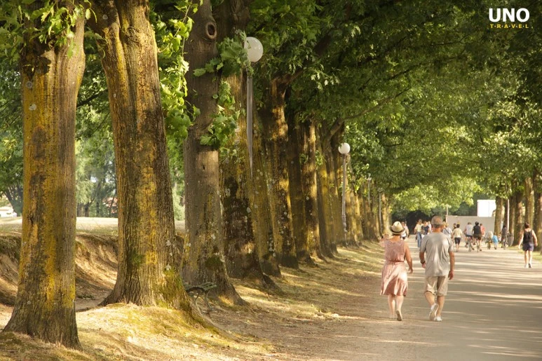 IMG_0257.JPG?type=w773