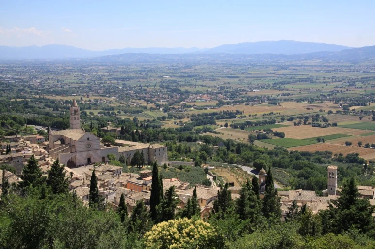 IMG_2517.JPG?type=w773