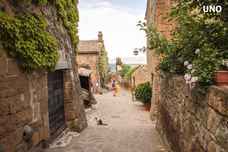 %EC%B9%98%EB%B9%84%ED%83%80_%286%29.jpg?type=w773