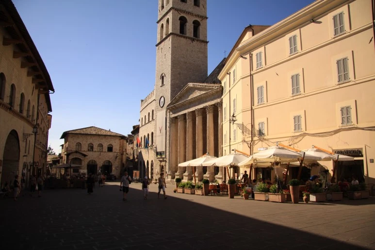 IMG_2620.JPG?type=w773