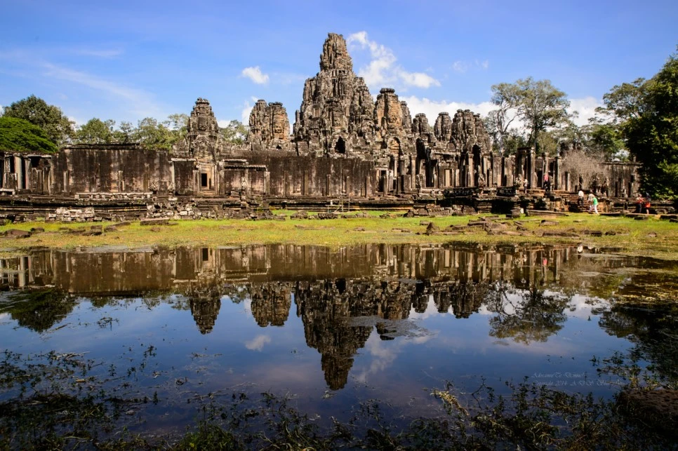 33.%EC%94%A8%EC%97%A0%EB%A6%BD.jpg?type=w966