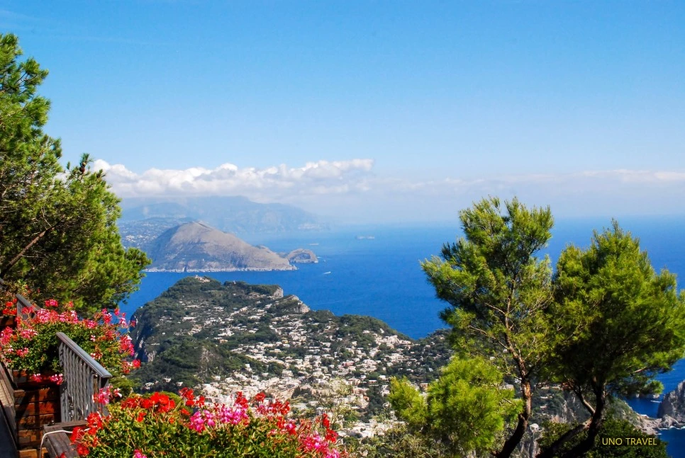 image_7517804251490161850054.jpg?type=w966