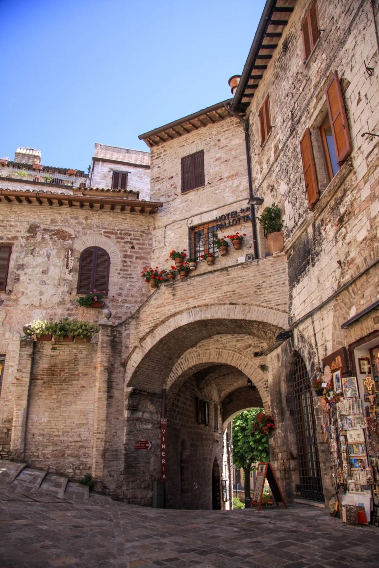 IMG_2502-1.jpg?type=w773