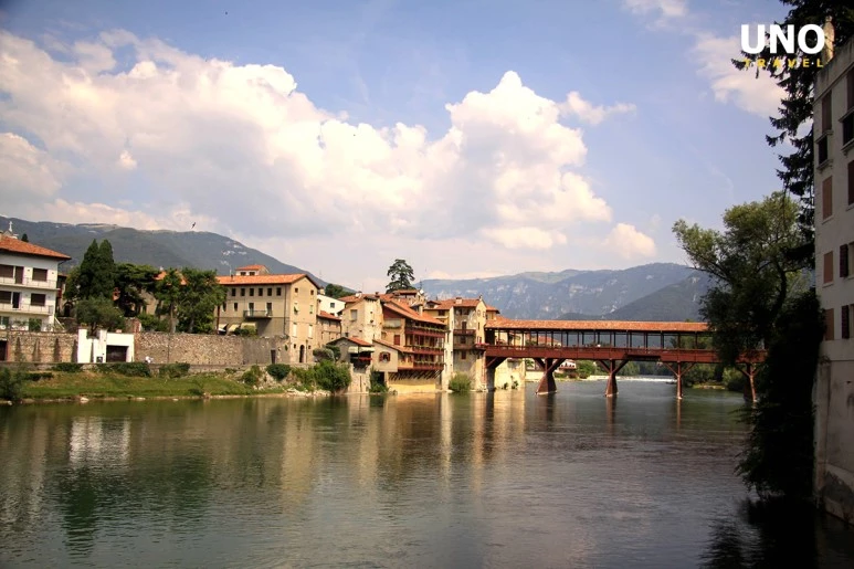 %EC%95%8C%ED%94%BC%EB%8B%88%EB%8B%A4%EB%A6%AC3.jpg?type=w773