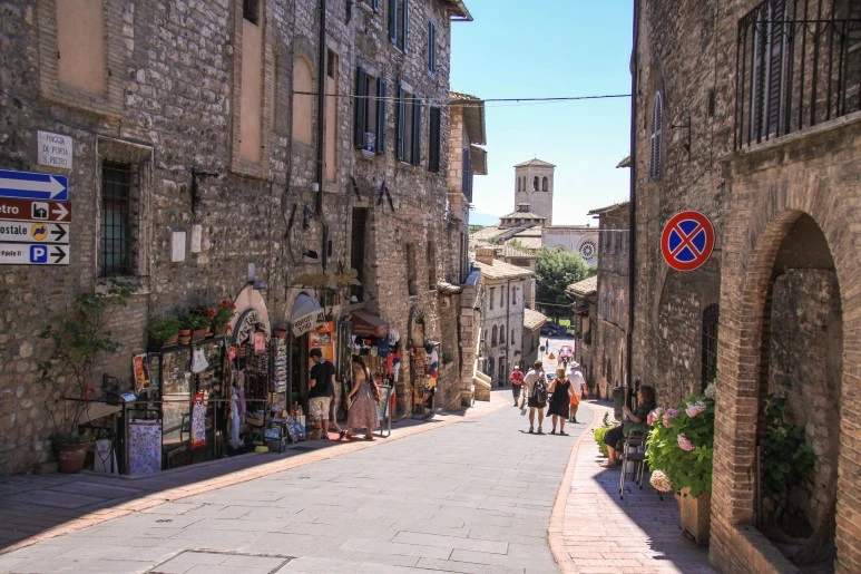 IMG_2459-1.jpg?type=w773