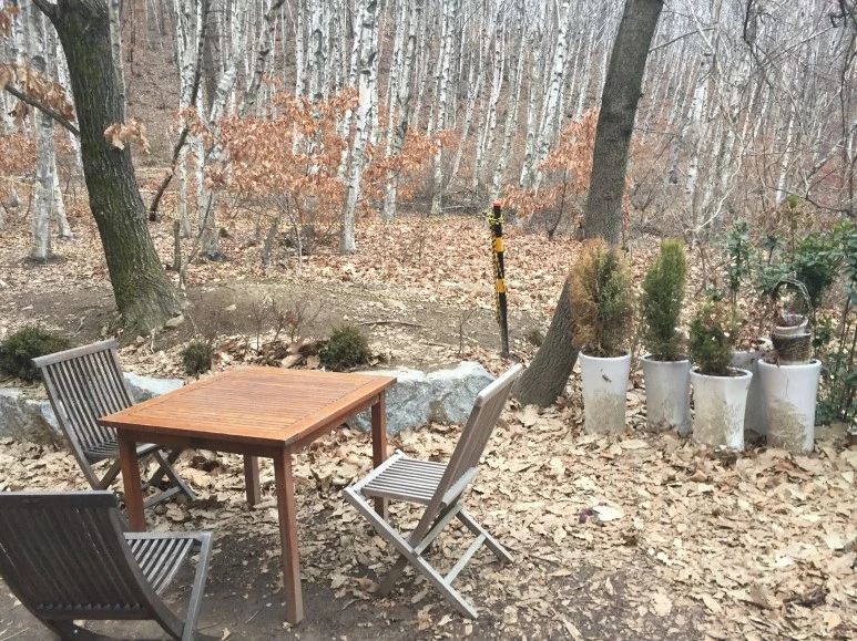 IMG_2639.JPG?type=w773