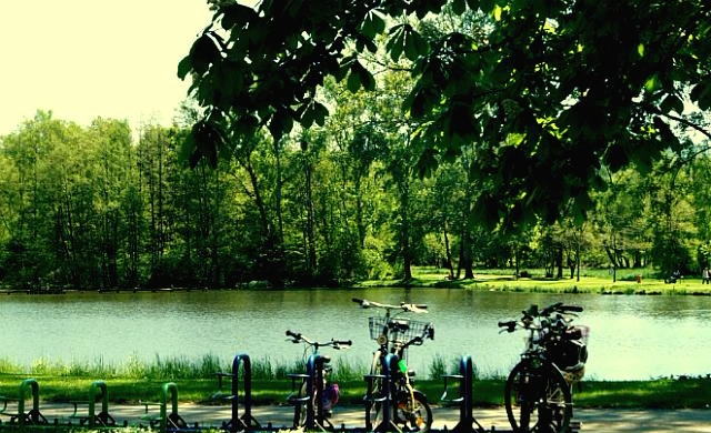 267EE5445550E118292532