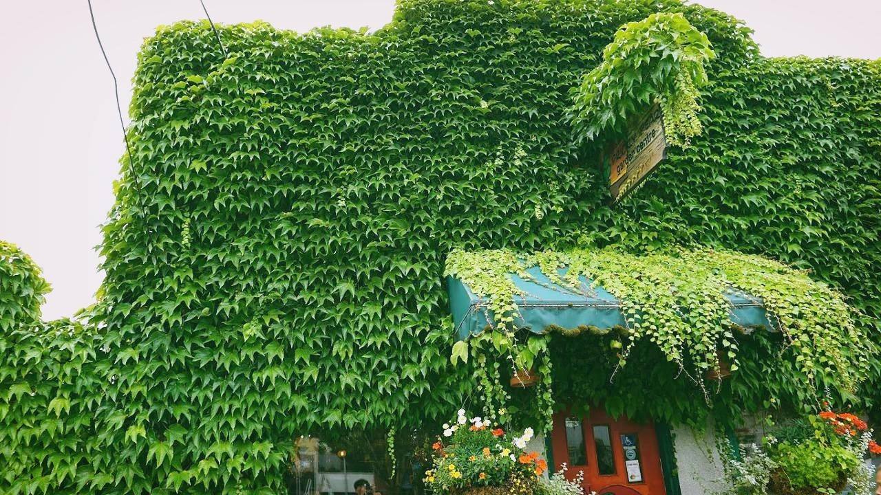 BmrqlW-NOuB8gq5mr0jSP00hYdqQ5FsjUCWgj2jDD9JLcq-d8t2C5LGLvYdrpV-JqZY6jJhtHTRCEqtdVYpfZ3FPcS8trVT5s77f7Rc-B55cCVAodbgKsZOY3HuNtBQV4uh7TQ35ENATaCw5ZXKTggsJBQmvboWUvKp4fNKss0HKjd5Vrl8qUVS6pz2cBhlEAWNY09EyX_B6ZTna5WEvP_54zLn2vrbCPM-sR8Bl5Y0VjtAK_9mNV9Qe5sekxOD3VU_-_ayYdf8x8_VjDhPs2g12X6c5XbjwpyGpvcGMl5GBIONakuPFmjdYxKlNzBhl8nGppL8i3-jTiHkgjVq37WPRskwrpyVYnZzvER_M1HtEXZ7TABuXYYdIaBLiVlXzw6nzpIVsTxQ__pV2u1NcVOF7sD8tY71-LYeZ_OUqG05OUpavUCP4zAbU90sr5q6CeC4zeMeDPL4nLxWSgARsaKIrto5x8xDjHDwctZYJbNReSJ36rkTDfJ_ktKJPV4yhOwdfcyxfeYI9vvKknjKp-wvC6FQEhOefyTXBGKioWFbQGKZag5jdP2bM56muOjTEqO4MlQEERJh3jhGiBM7w5zY8sCNPPmxkM6rcVgjLW0l7PhAo8AVoXLfCak_r-vXGbHS5f350oHTtFiNkC5MX2s-XVOcUcpH8EMgnoKD5gFhqabRUlSDK64E=w1516-h853-no