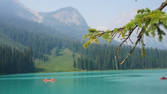 Y7e49Izu7ydzpWZejcqmdyj9tKCGJXAmaiFjNJLe08MAVTF8ARaxkKnykGSID7EMYX2gp6eVfeU2tm__1vy6pIlYV_Ke4bhiWuIO_0DAJVhHypnB1Ms8VxN2bpz2nhLU6TVjKXBPqbcuZUhCV0yWTcyKAcimw4WlyUXA2dv7LVP7DvRjUcqKbMXs27Wwj6gXP9id7uZnzqGIkpTptY6z28SN112RR6kMyMM4xPmfv2zrP3JQ3Iv52tJ0YHHn4-eg66gaPEMIkGWBCIUBPSuFZGRlDtmBBEtP8kkpZEdytxiQ33tLNM0fFTApBBOGNDUnqnQe22G8dvN746JR6m3eJlzq6Rh8aze_ZHjCN4vcRIy4MfX9s7T2Q7BO_tWSnpy9U3bl4yz7fQ4otE8PaKh6-2waSCw1obH7GbJEW_zVmzp5u8A0uEtL4N31_2K7sVW8eXTh0zqccE4HDcI9EHzSgP5et5OhPKRPOGki8zXcUpjiOZmmf1ba3xsty7WIK2yszA_5-7lDA6RoMhpaa0U9Dj1I50t9bXxqyYHbCiBtoBAGENuzGkPEOzqkXyZcdX_VWk-jXhZOmHHHKw5Ad9yHM0OBUxIWo8vMXJa4TjvqlQi4ckhrUWcZWdKCXgKZ4_DtF6_T4DlzEf0wreo-eoO23VVnmMbAZzGK7zODvzraDEA6-OQ8rqr_Vm4=w554-h312-no