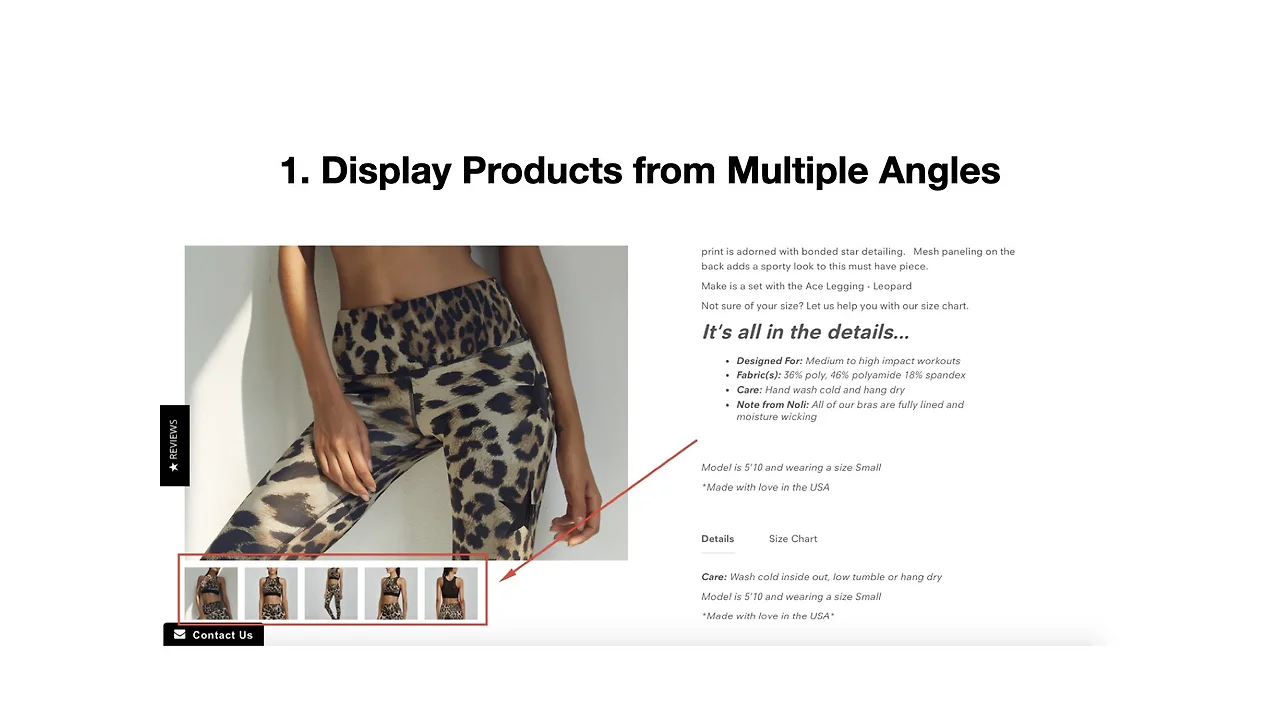 DMS_deck2020_Bigin (1).041.jpeg