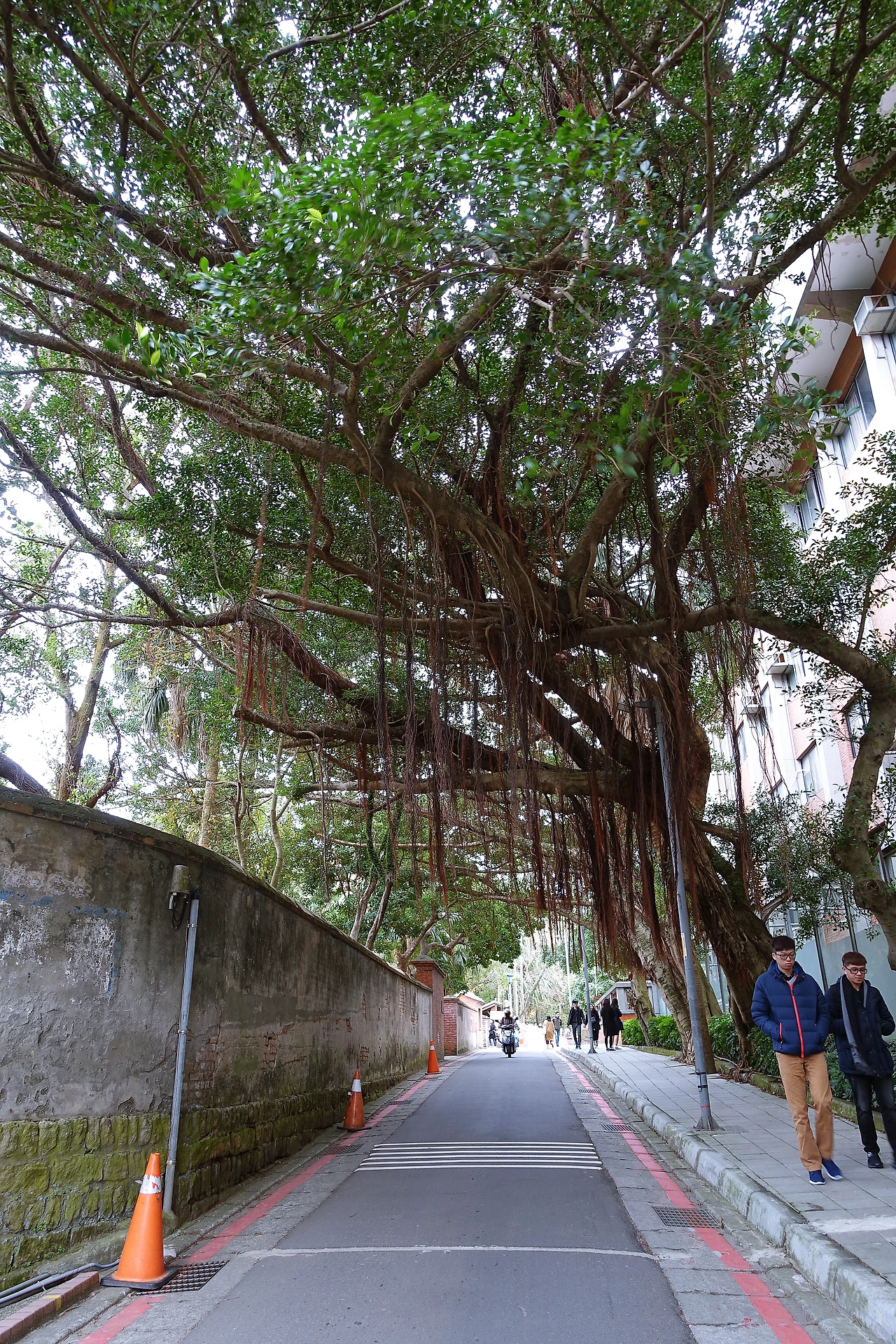 말할수없는비밀 (7).JPG