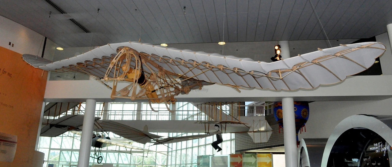 DSC_0300 da Vinci II Cigno Interpretation.JPG