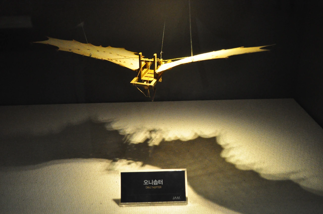 DSC_0659 ornithopter.JPG