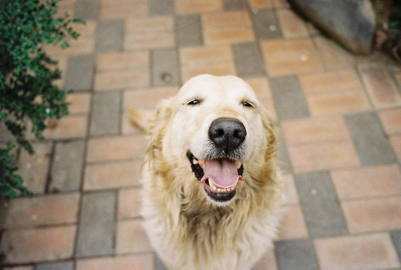 2016-03 필름4 (12).JPG