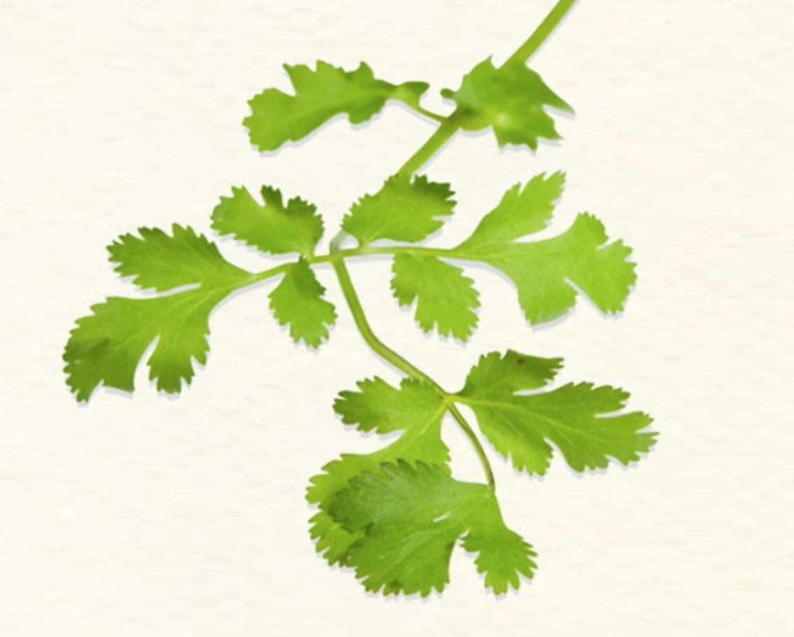 99A12F3E5B3589AC341920