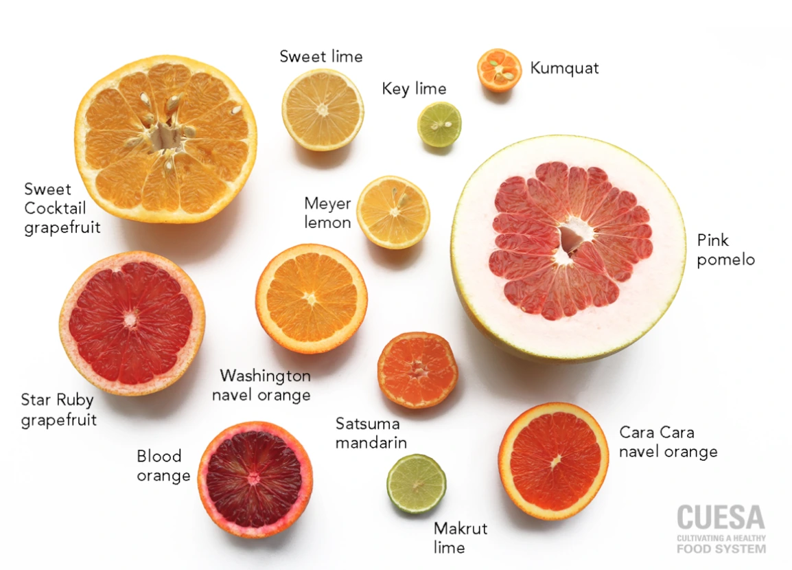 9906293D5B358BE912AF03