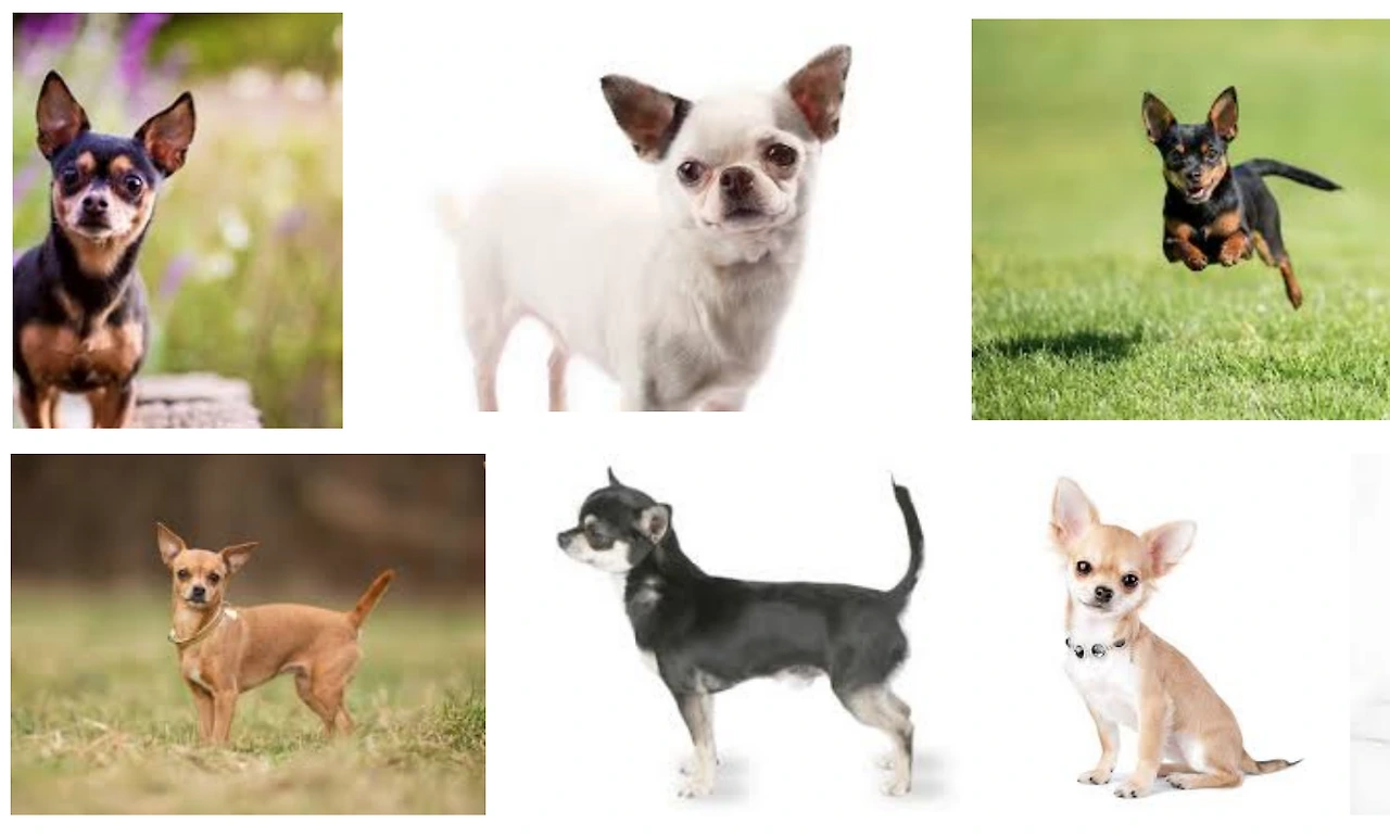 99B041435B226E823C6151