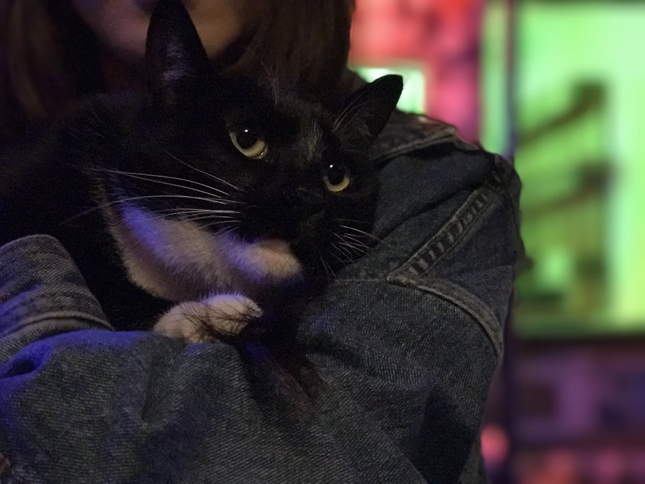 IMG_8636.JPG?resizeSmall&width=832