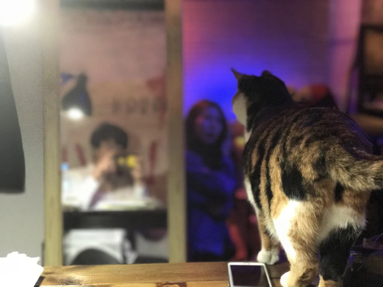 IMG_8609.JPG?resizeSmall&width=832