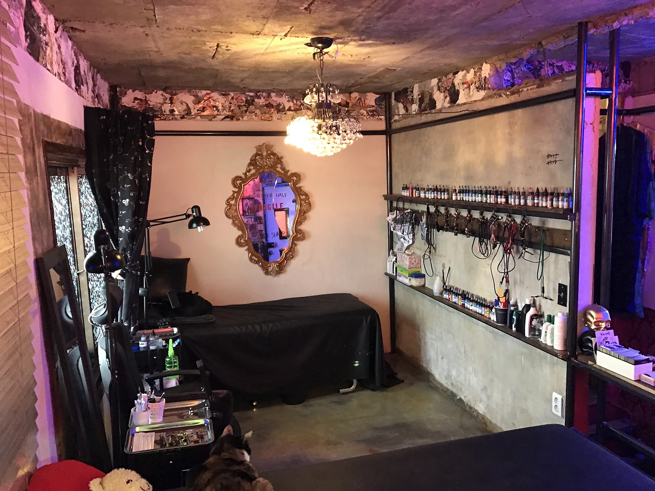 IMG_8433.JPG?resizeSmall&width=832