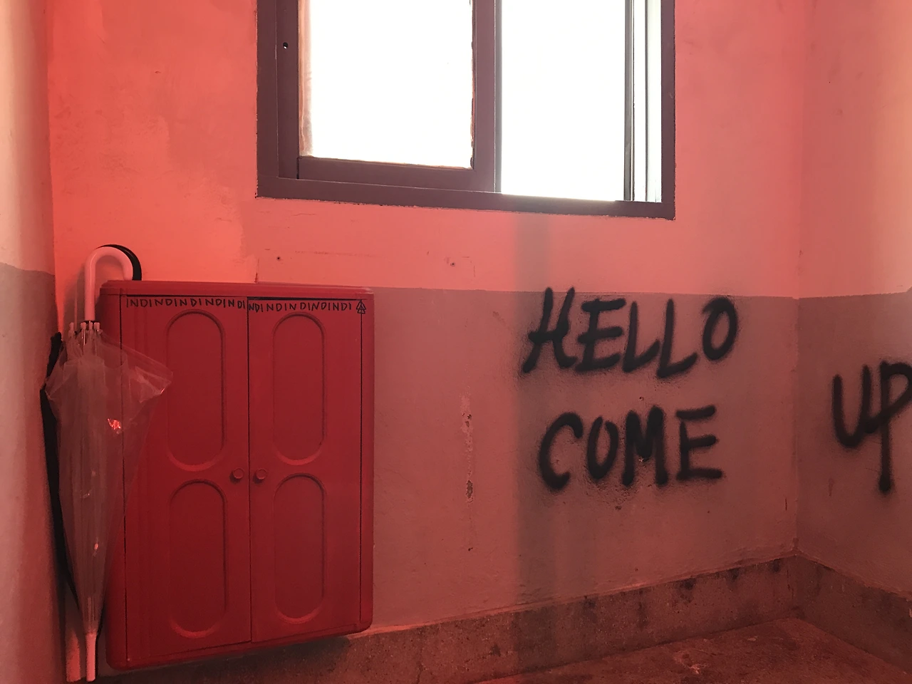 IMG_8405.JPG?resizeSmall&width=832