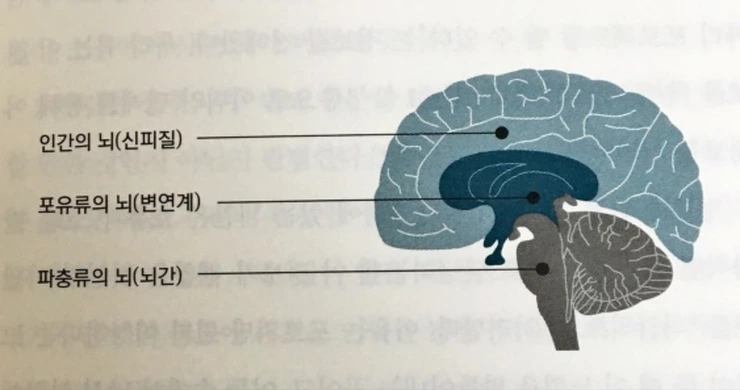 screenshot.png?type=w740