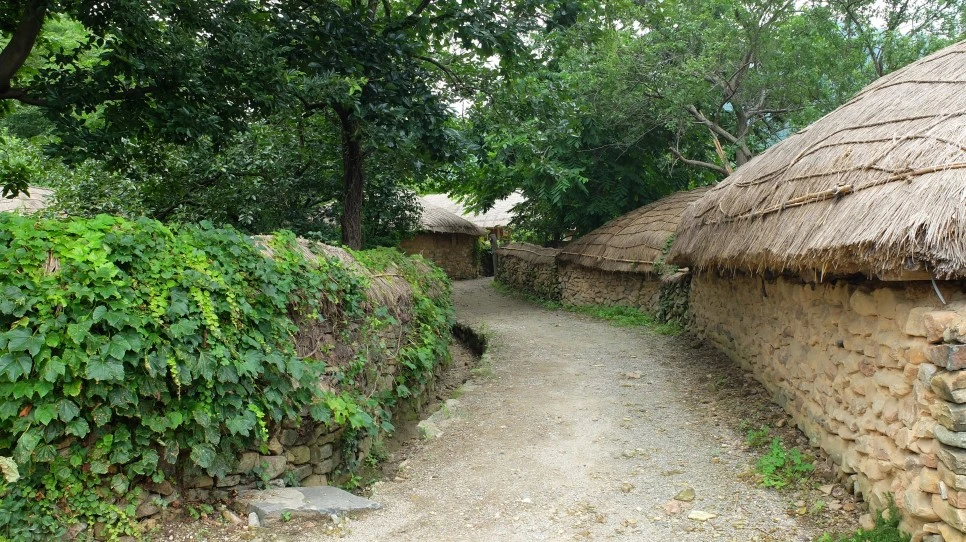 DSCF0376.JPG?type=w966