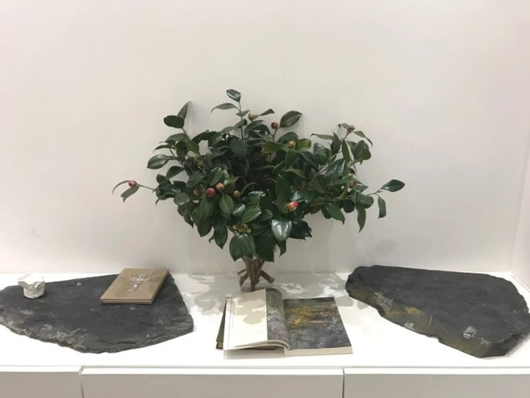 IMG_1761.jpg?type=w773