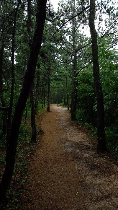 image_7857795001469292140998.jpg?type=w966