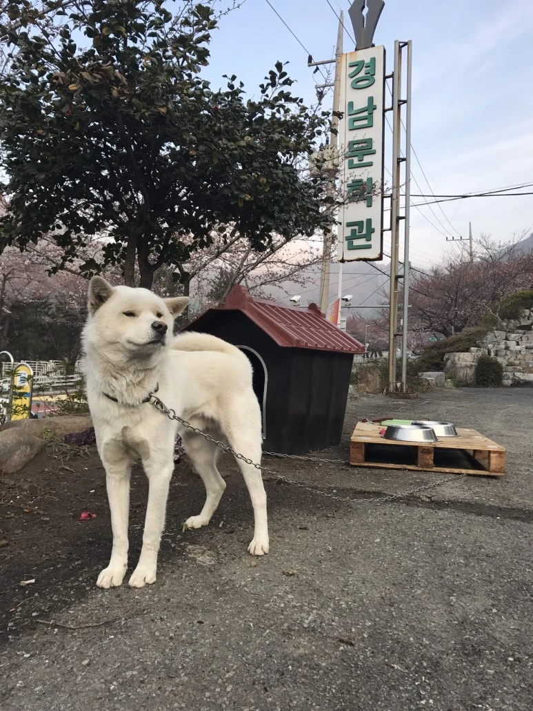 KakaoTalk_Moim_3jkkJV1vP0piWYT5U1MFKwxiealGX7.jpg?type=w773