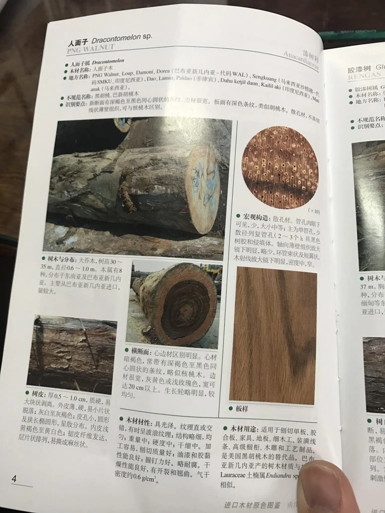 IMG_3170.JPG?type=w773