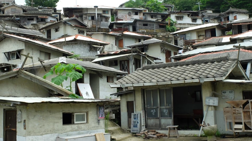 DSCF0311.JPG?type=w966