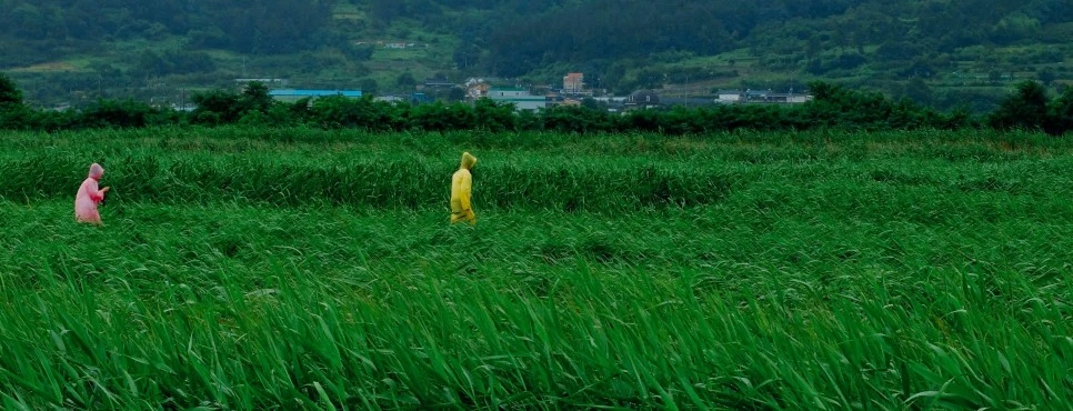 image_6449922851469292051168.jpg?type=w966