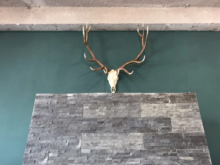 KakaoTalk_Moim_3jkkJV1vP0piWYT5U1MFKwxie92zkZ.jpg?type=w773