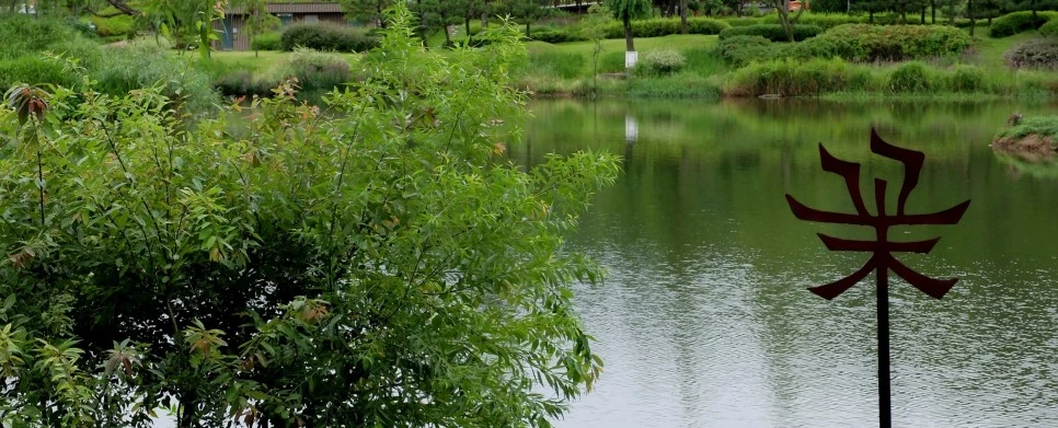 image_9472390521469292254746.jpg?type=w966