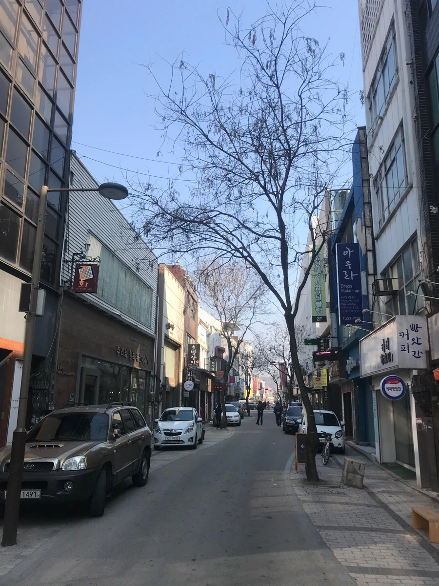 IMG_8688.jpg?type=w966