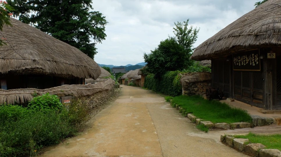 DSCF0342.JPG?type=w966