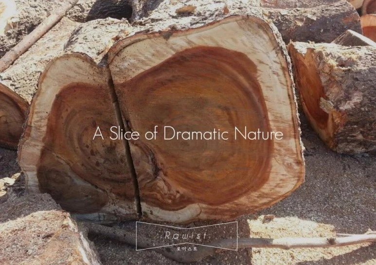 KakaoTalk_20160822_165221749.jpg?type=w773